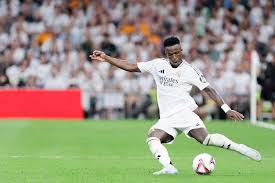 在随后的几 在随后的几